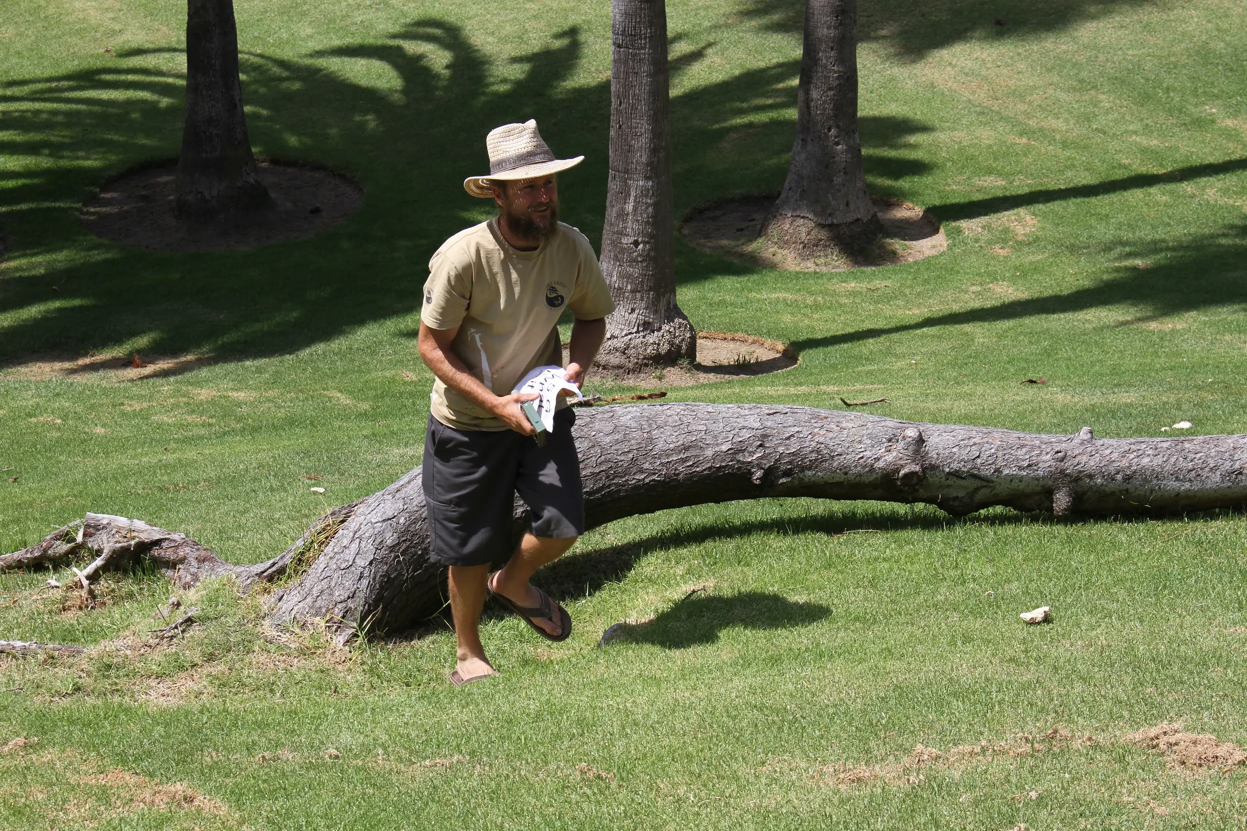 682d20d8f3370_arborist-consultant-Theron copy 682d20d8f3370_arborist-consultant-Theron copy