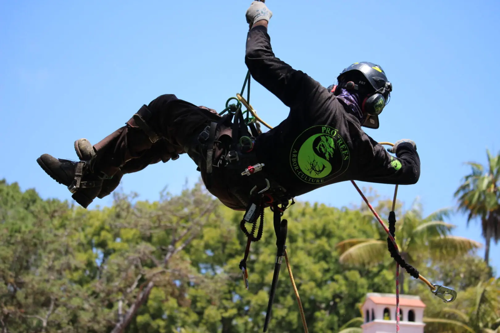 Person tree climbing with safety gear outdoors.