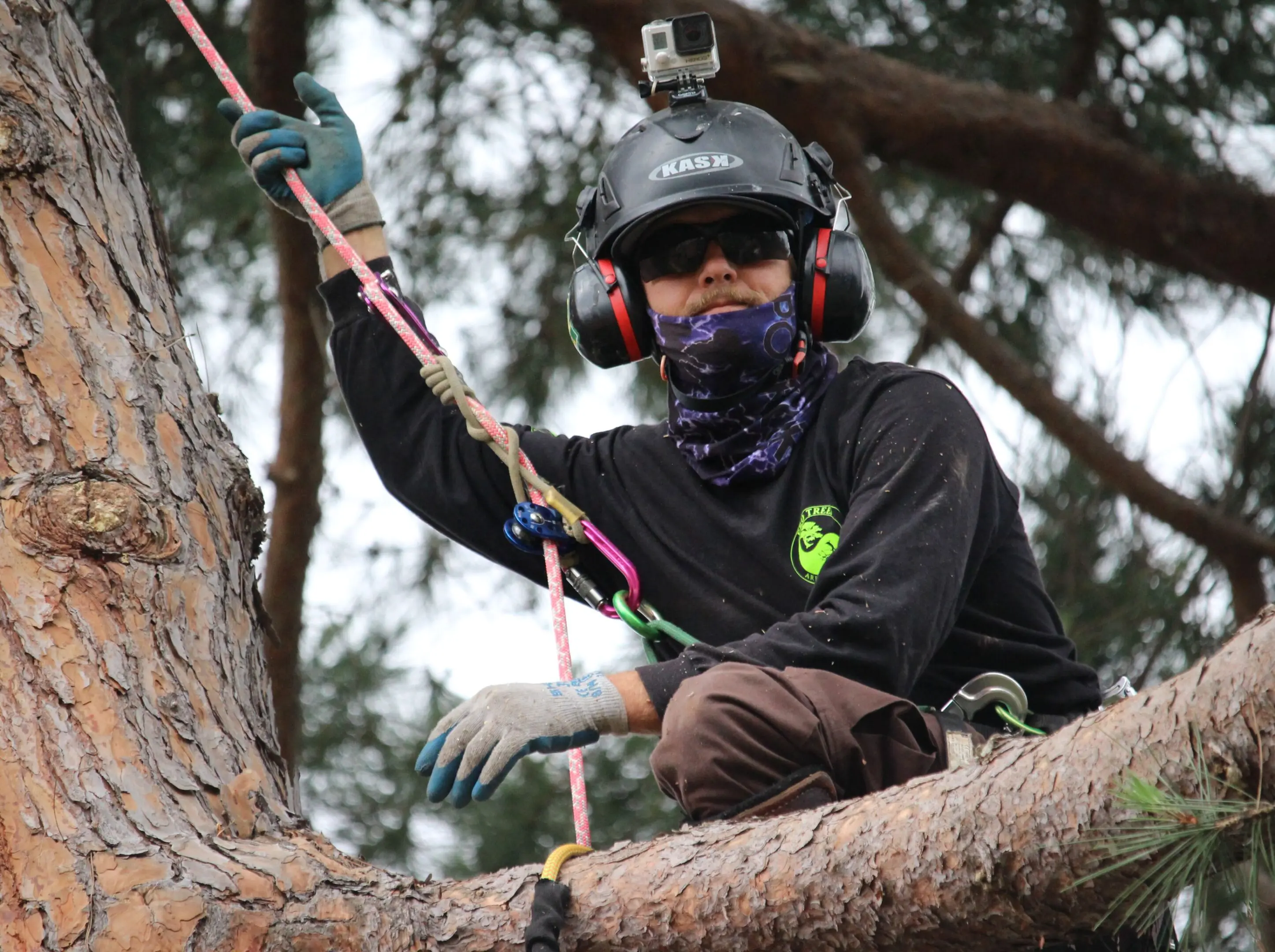 682e706a12242_Climbing-single-rope-technique-arborist-Theron-Winsby-pro-trees-2019- 682e706a12242_Climbing-single-rope-technique-arborist-Theron-Winsby-pro-trees-2019-